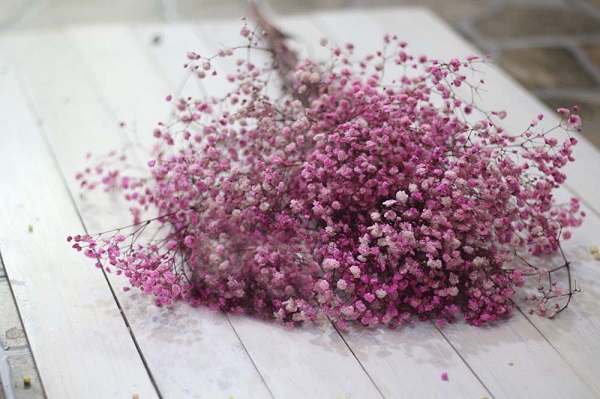 Cách làm hoa baby khô