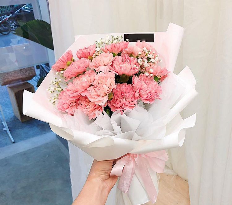 ý nghĩa hoa cẩm chướng