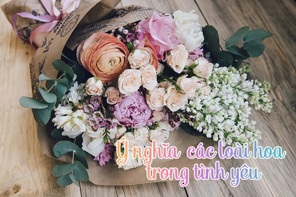 ý nghĩa các loài hoa trong tình yêu