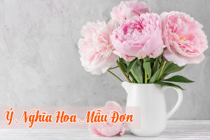 Ý nghĩa hoa mẫu đơn