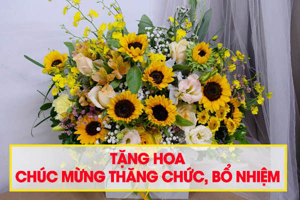 Đặt hoa chúc mừng thăng chức ở Vũng tàu