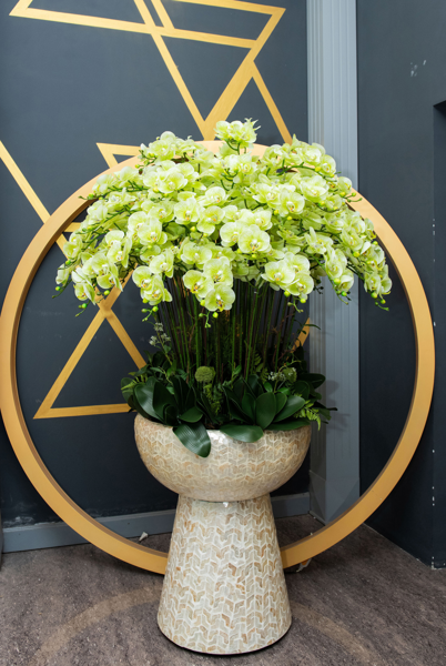 Hoa lan xanh- hợp với người mệnh Mộc