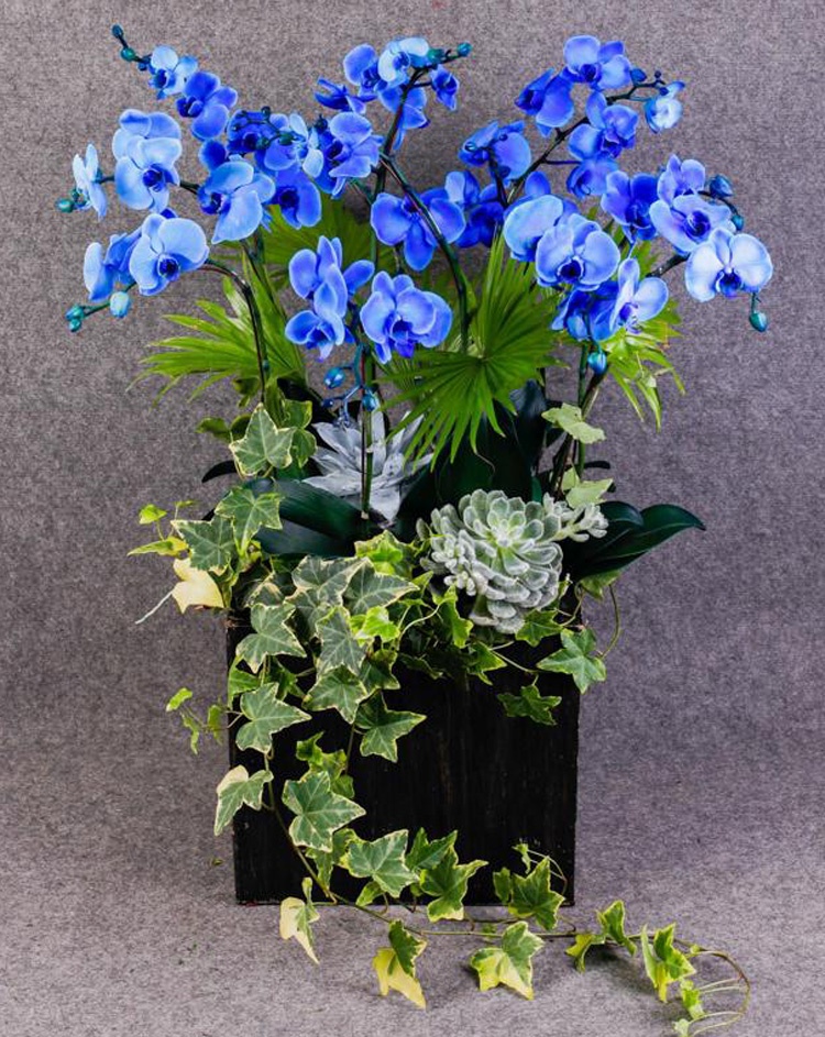 Hoa lan màu xanh hợp mệnh thủy