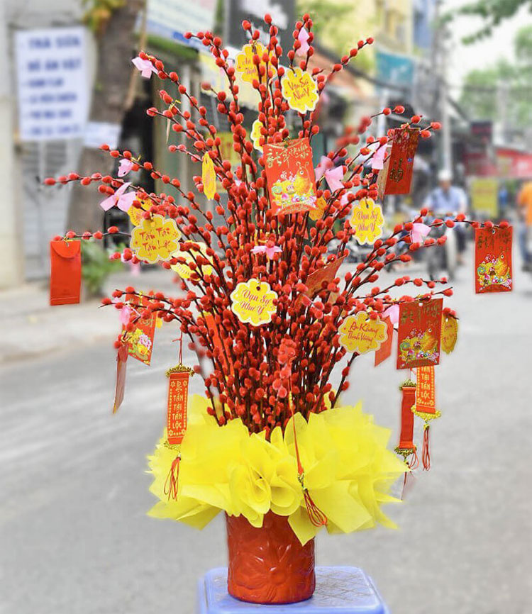 Hoa Nụ Tầm Xuân