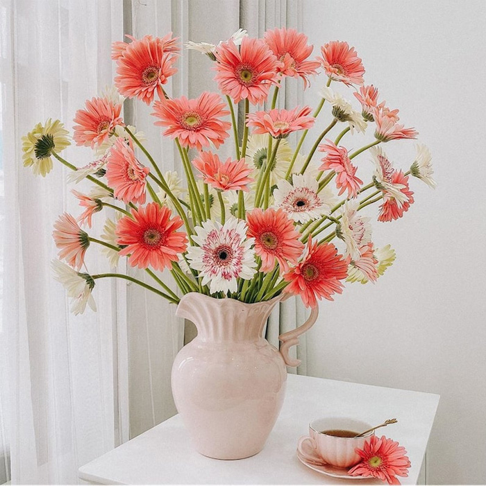 hoa trang trí phòng khách hoa đồng tiền