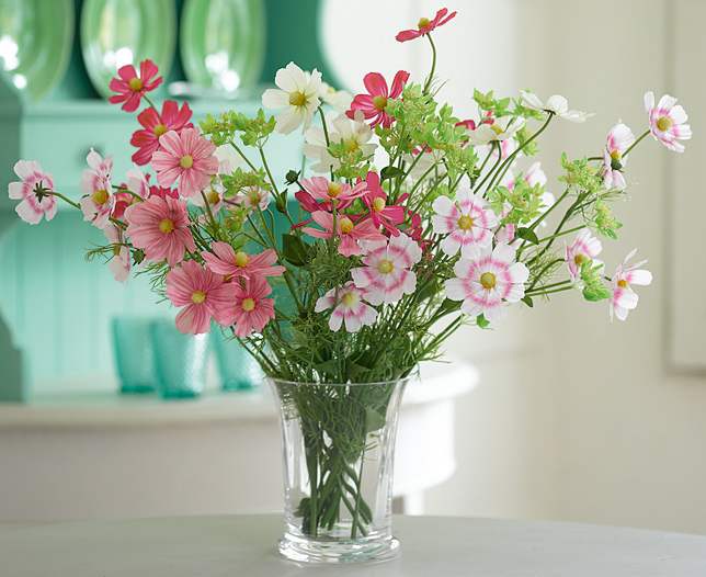 hoa trang trí phòng khách hoa cánh bướm