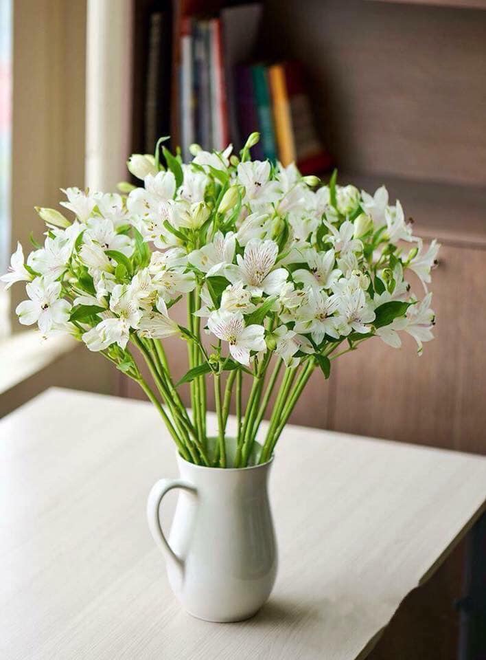 hoa trang trí phòng khách hoa thủy tiên