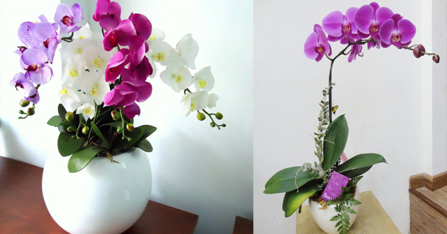 Lựa chọn số lượng cành theo phong thủy