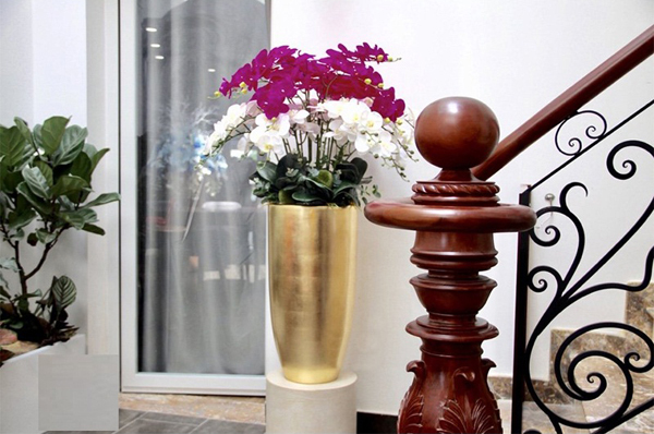 vị trí đặt chậu hoa lan hồ điệp đúng phong thủy