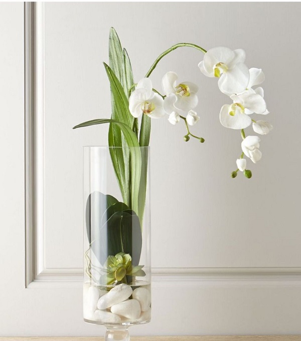 cắm hoa lan dáng cánh bướm