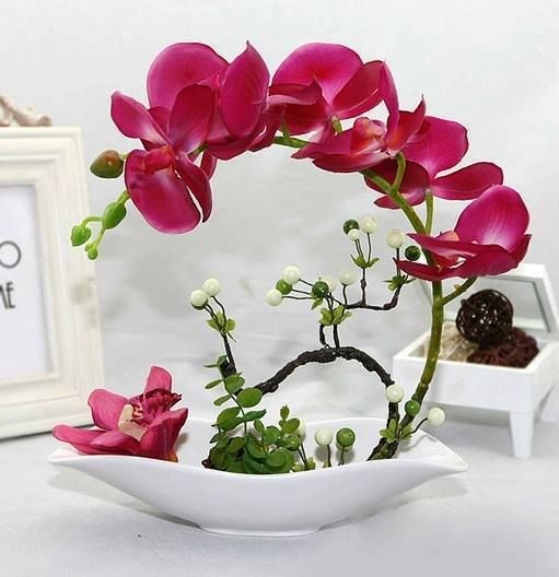 cắm hoa lan lượn hình vòng cung