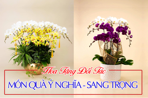 hoa tặng đối tác