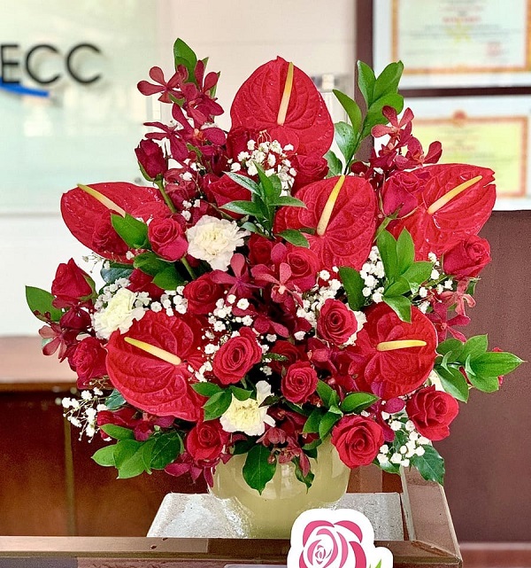 hoa hồng môn tặng tân gia