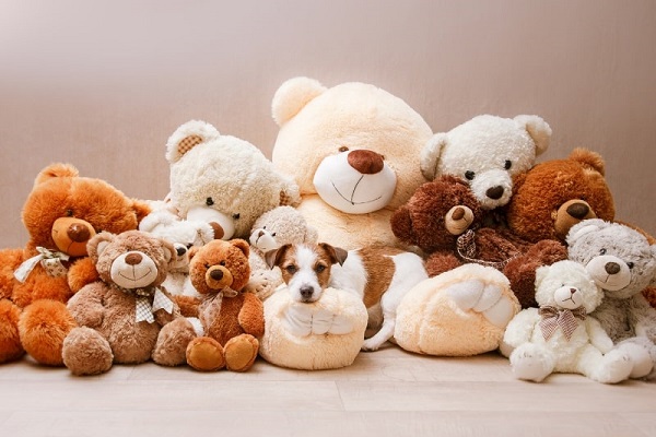 tặng gấu bông cho bạn gái mới quen