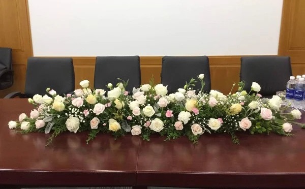 hoa hội nghị đẹp vũng tàu
