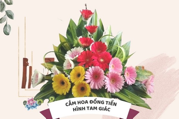 Cách cắm hoa đồng tiền hình tam giác