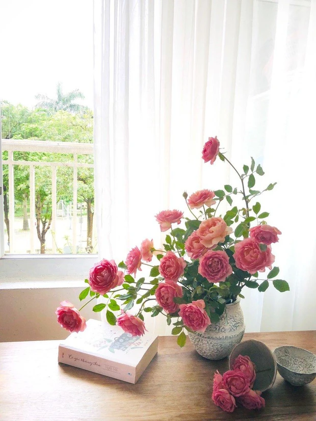 Cách cắm hoa hồng ánh trăng khuyết