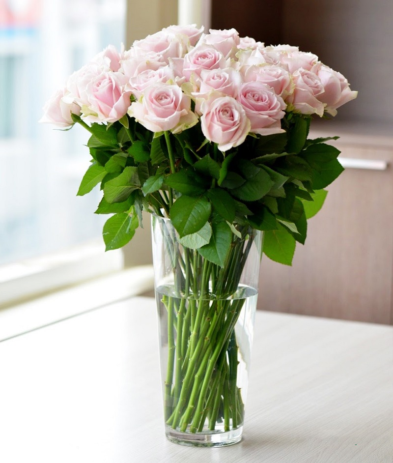 Cắm hoa hồng lọ thủy tinh dáng cao