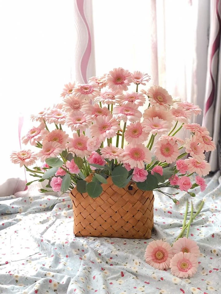 Mẫu cắm hoa đồng tiền trong giỏ