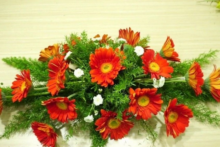 Cách cắm Hoa Đồng Tiền để bàn