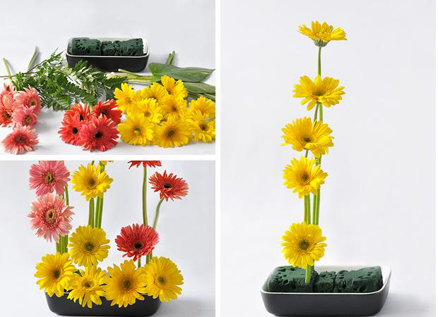 Cách cắm Hoa Đồng Tiền đơn giản với mút xốp