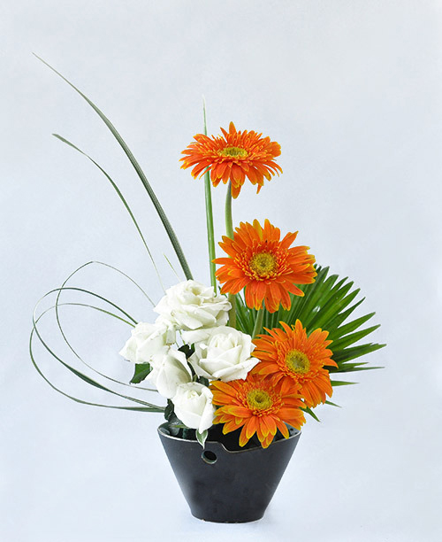 Cách cắm Hoa Đồng Tiền đơn giản với mút xốp