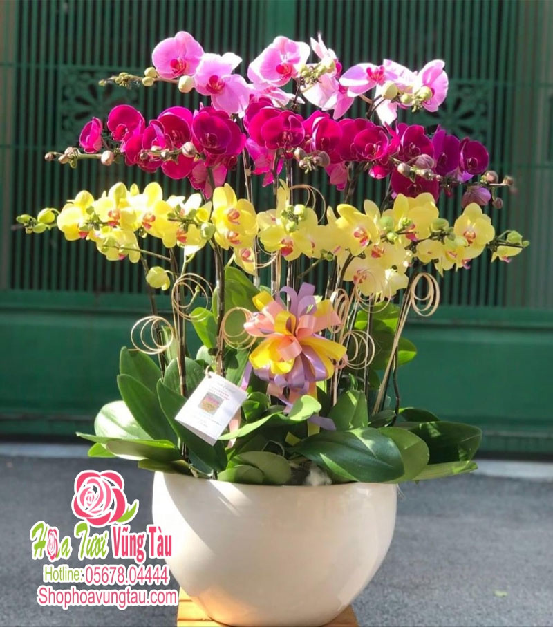 Gợi ý 99+ mẫu hoa 20/10 tặng người yêu đẹp và lãng mạn nhất