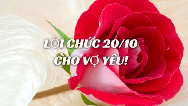  lời chúc 20/10 ngắn gọn ý nghĩa dành cho tất cả phụ nữ