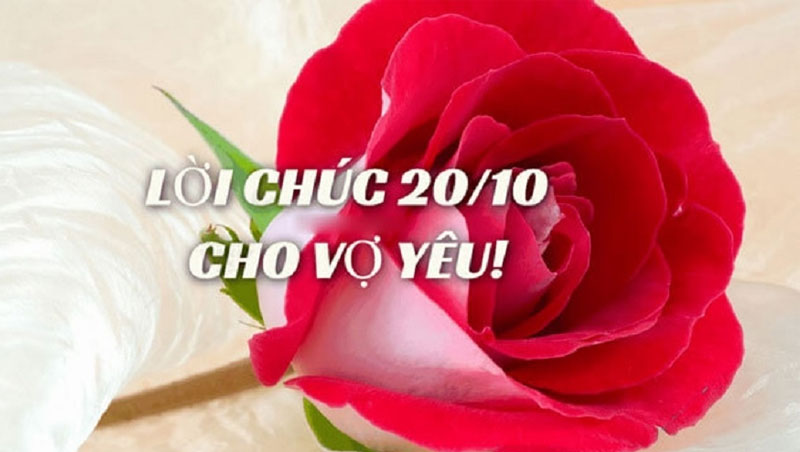 Gợi ý 250+ lời chúc 20/10 cho mẹ ngắn gọn, ý nghĩa và tình cảm
