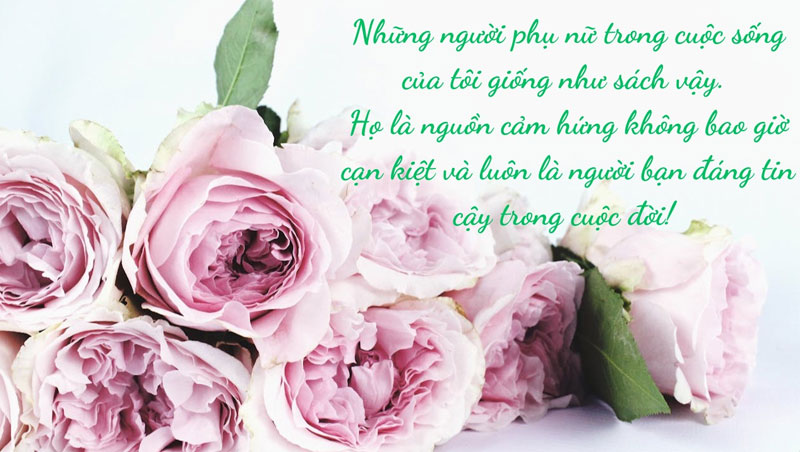  lời chúc 20/10 ngắn gọn ý nghĩa dành cho tất cả phụ nữ