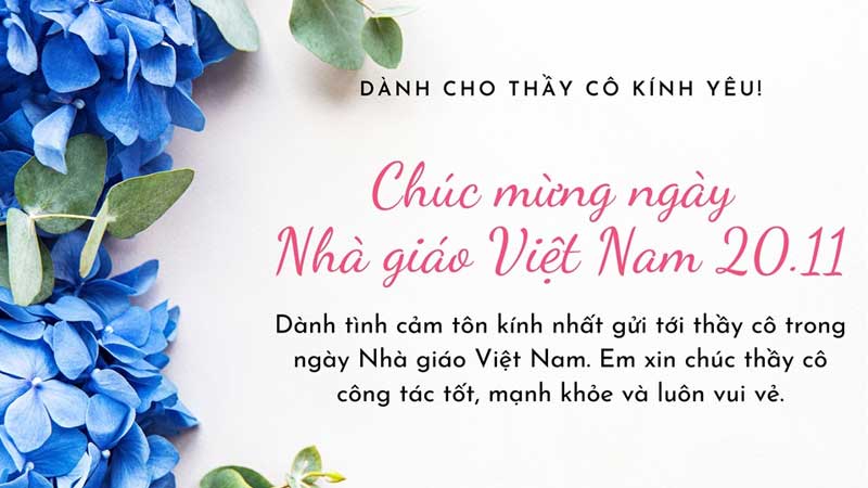 60+ Nội dung ghi thiệp chúc mừng 20/11 dành tặng cho thầy cô ý nghĩa