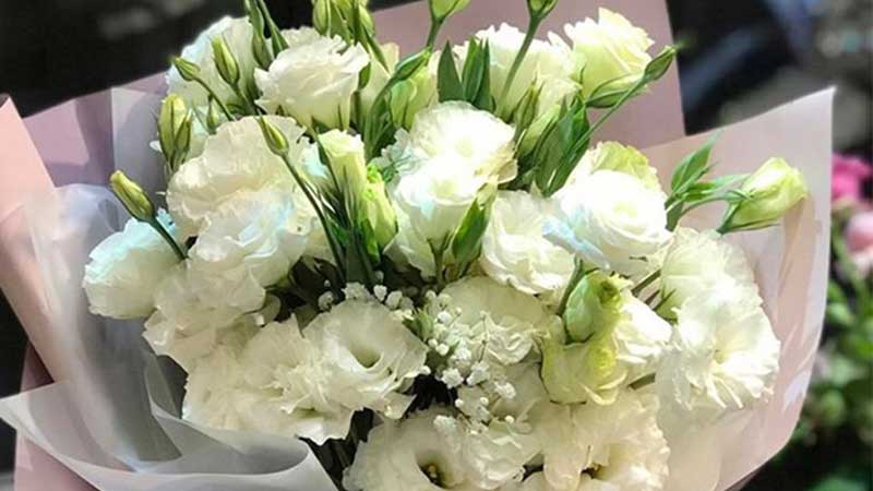 Gợi ý 11 loại hoa 20/11 đẹp và ý nghĩa nhất dành tặng cho thầy cô giáo