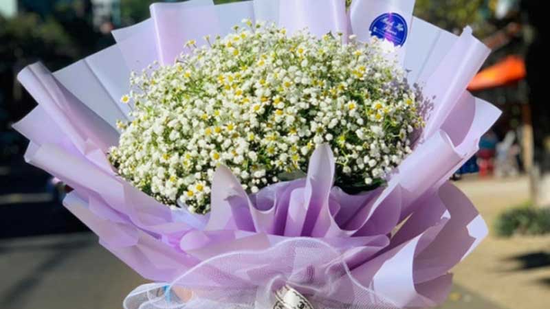 Gợi ý 11 loại hoa 20/11 đẹp và ý nghĩa nhất dành tặng cho thầy cô giáo