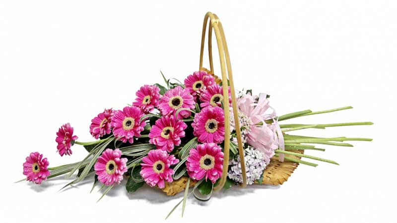 30+ món quà tặng 20/11 ý nghĩa dành cho thầy cô giáo