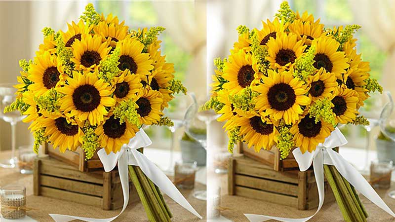 Tìm hiểu ý nghĩa của hoa hướng dương trong ngày 20/11