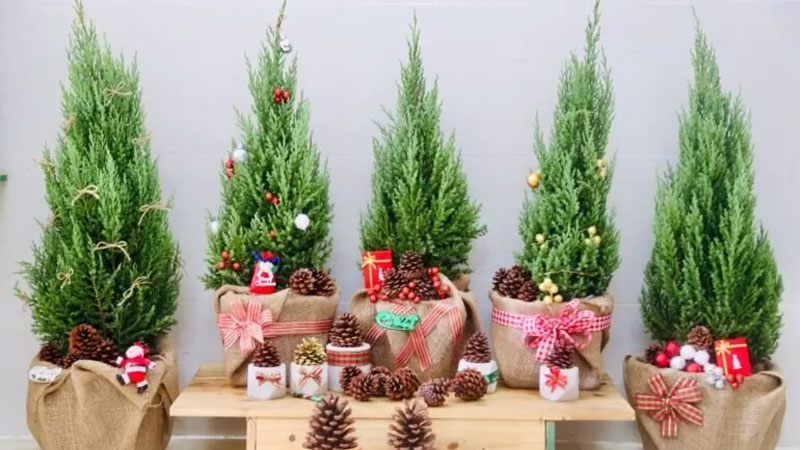 Cách chọn mua quà giáng sinh cho bạn gái mới quen