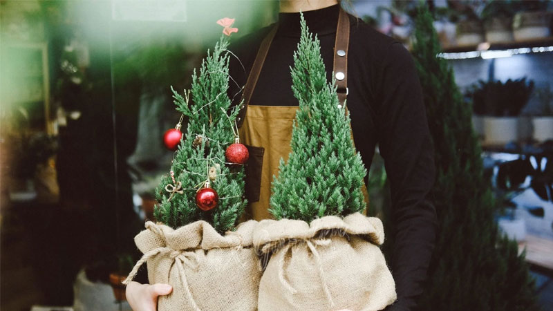 TOP 15 quà noel cho đồng nghiệp, bạn bè thân ý nghĩa thiết thực nhất