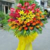 kệ hoa khai trương, hội nghị,kệ hoa chúc mừng, kệ hoa chúc mừng đại hội vũng tàu 12