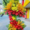 kệ hoa khai trương, hội nghị,kệ hoa chúc mừng, kệ hoa chúc mừng đại hội vũng tàu 60