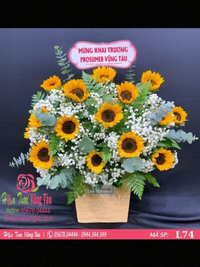 lẵng hoa hướng dương đẹp