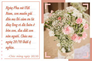 hoa tặng mẹ 20-10