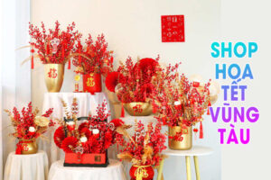 shop bán hoa tết vũng tàu
