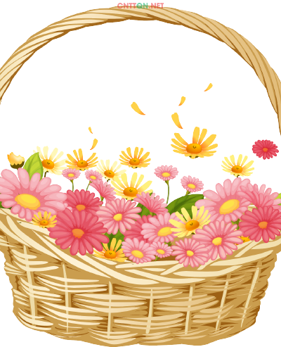 1 Giỏ Hoa Không Mẫu