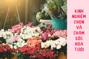 kinh nghiệm chọn hoa tươi