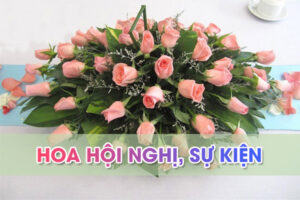 hoa hội nghị vũng tàu